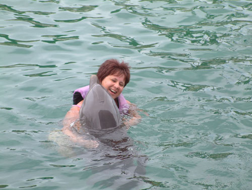 Dolphin