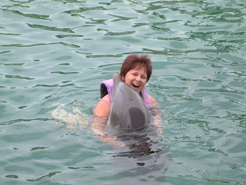 Dolphin