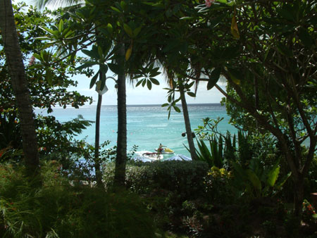 Barbados_24