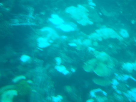 Barbados_66
