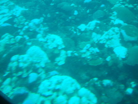 Barbados_70