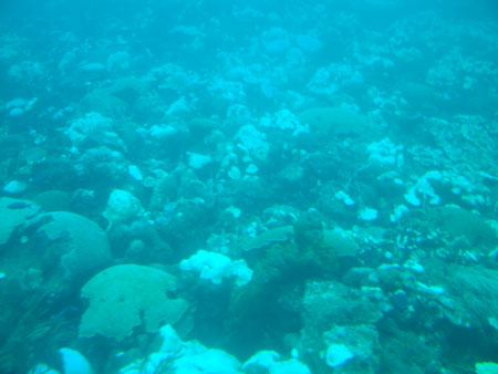 Barbados_71