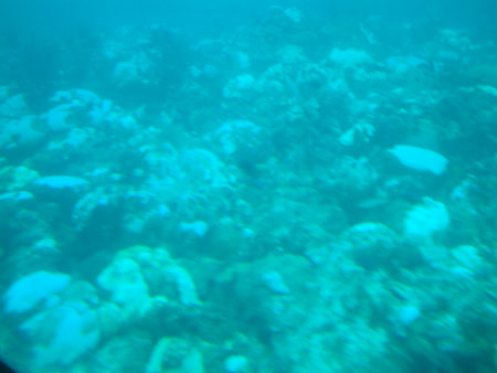 Barbados_84