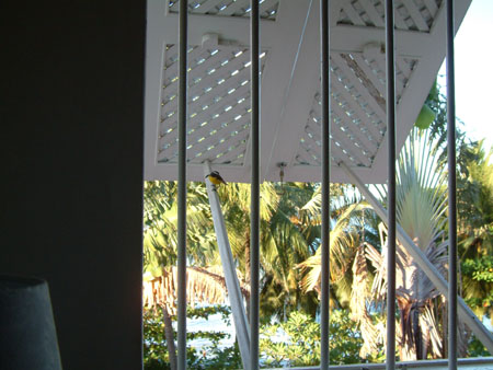 Barbados_88
