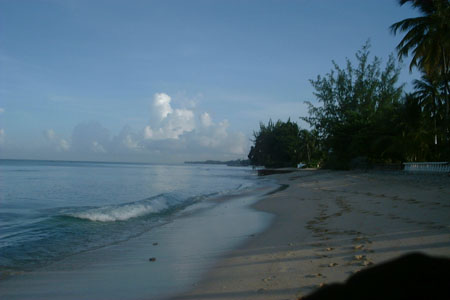 DSCF0001