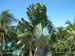 Barbados_2