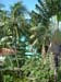 Barbados_3