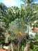 Barbados_5