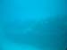 Barbados_63