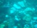Barbados_66