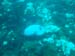 Barbados_69
