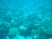 Barbados_71