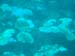 Barbados_73
