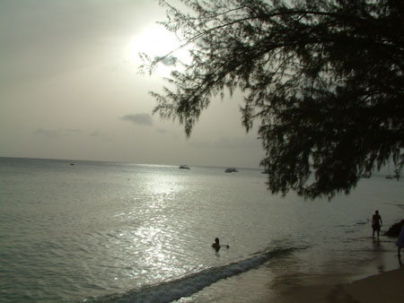 DSCF0082