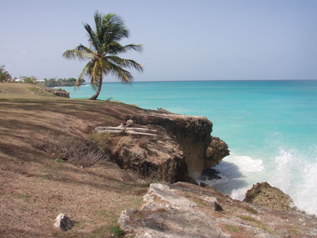 P7060310