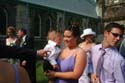 TheWedding