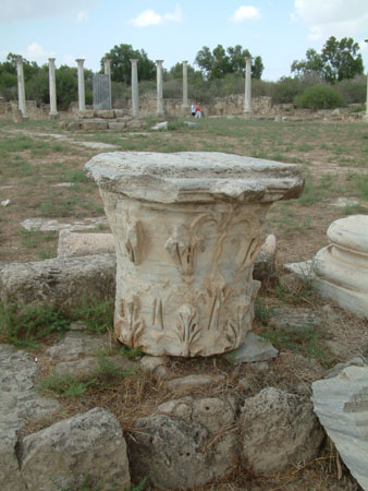 Salamis