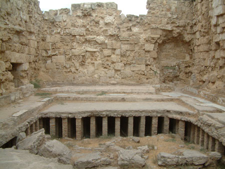 Salamis