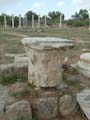 Salamis