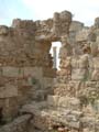 Salamis