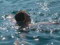 Submarine