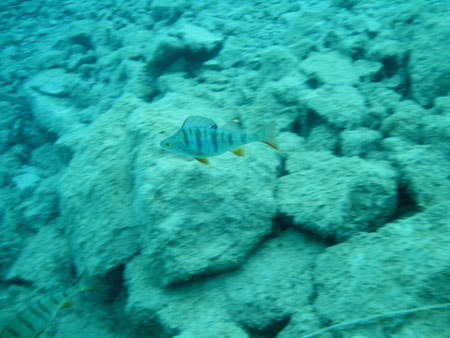 P1010051