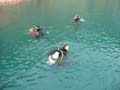 Quarry