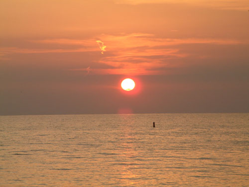 DSCF0131